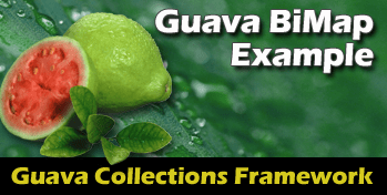 GuavaBiMap